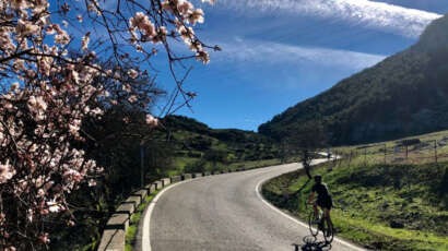 Cycling Holiday Tours