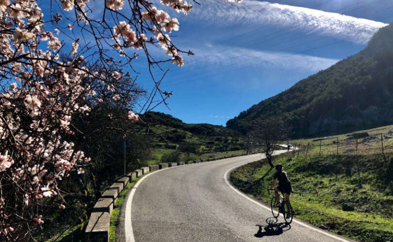 Cycling Holiday Tours
